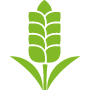 Linea Bio